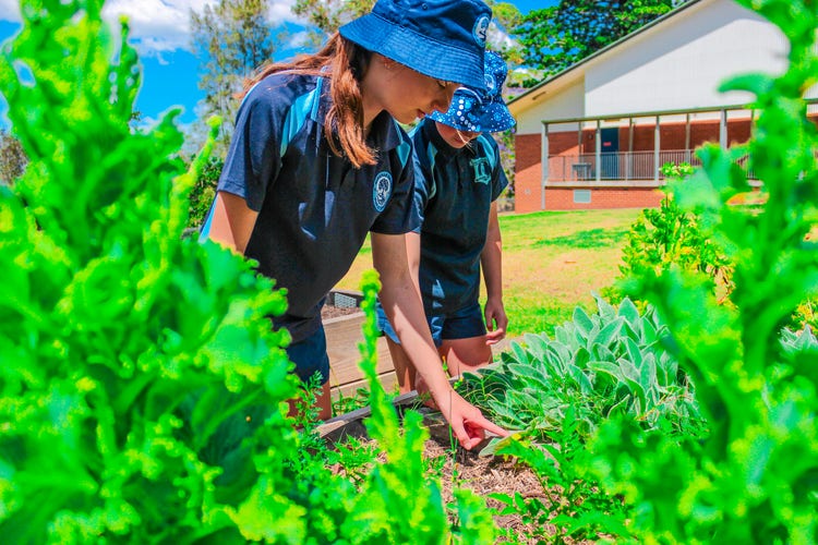 An educational garden area.