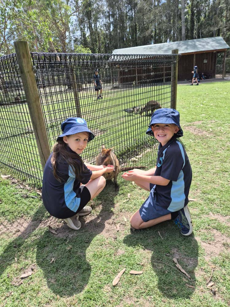 We offer different excursions each year for all students.