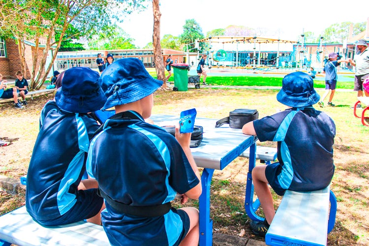 Learn about why families choose our school. Explore our values, offerings, community and commitment to learning.